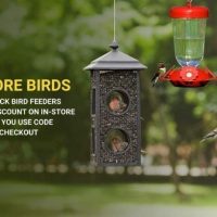 Wild Bird Feed