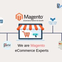 Magento Services 
