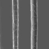 wool fiber