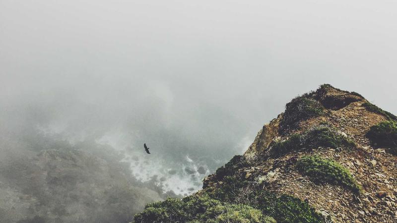 Analysing the Freedom to Operate Search (FTO)