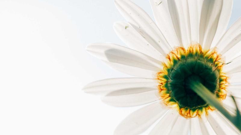 Choosing the Perfect Welcome Girl for Your Unique Event