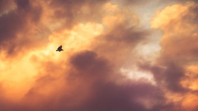 Drug Addiction? Yoga For Addiction Recovery Fast