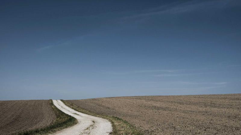 Four Key Features You Should Focus on Your Travel Portal Software