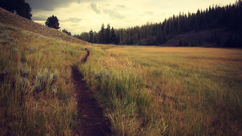 How to Make Better Real Estate Deals – Matthew Sawyer Hamden