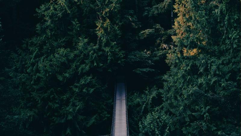 How Your Business Can Cope With an Increase in Demand