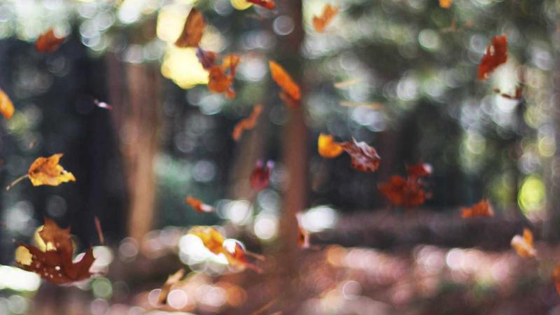 Make Holiday Getaways More Adventurous with Two-Way Radios