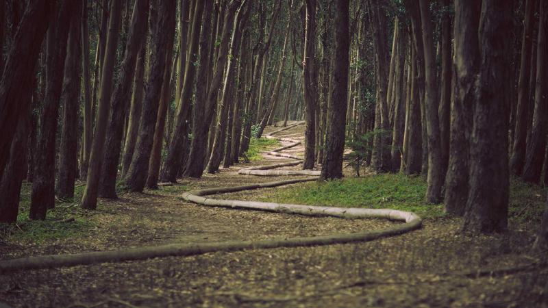 Maximizing Your Instagram Profile Views
