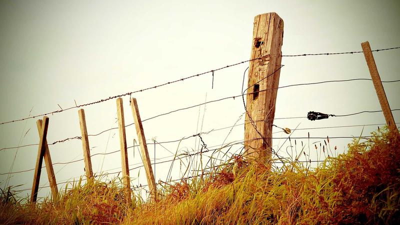 Spending the Holidays and Finding Joy in Drug rehab in Illinois