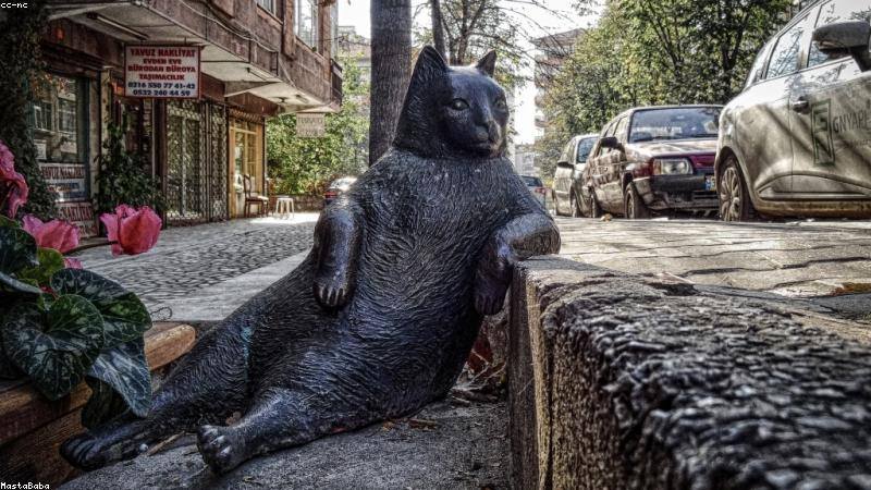 The Benefits of Taking a Coding Test Online